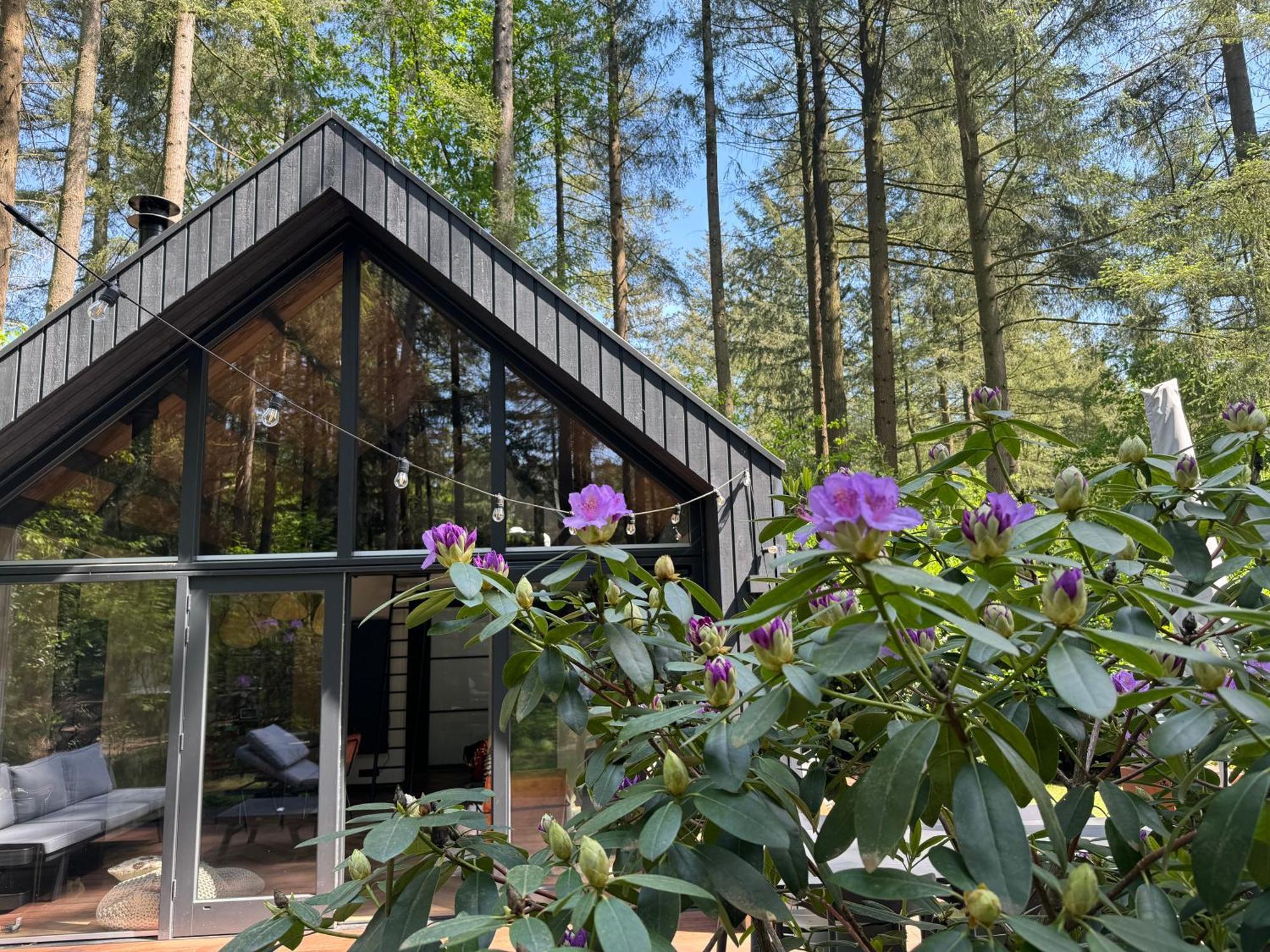 Fantastisch Luxe Boshuis I Onthaasten In De * Emst