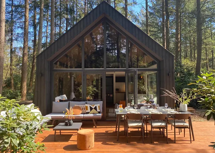 Fantastisch Luxe Boshuis I Onthaasten In De Natuur